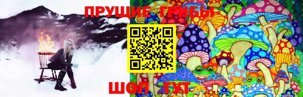 Мирный  Псилоцибиновые грибы Psilocybine cubensis  Галлюциногенные грибы мухоморы  Вход с VPN 