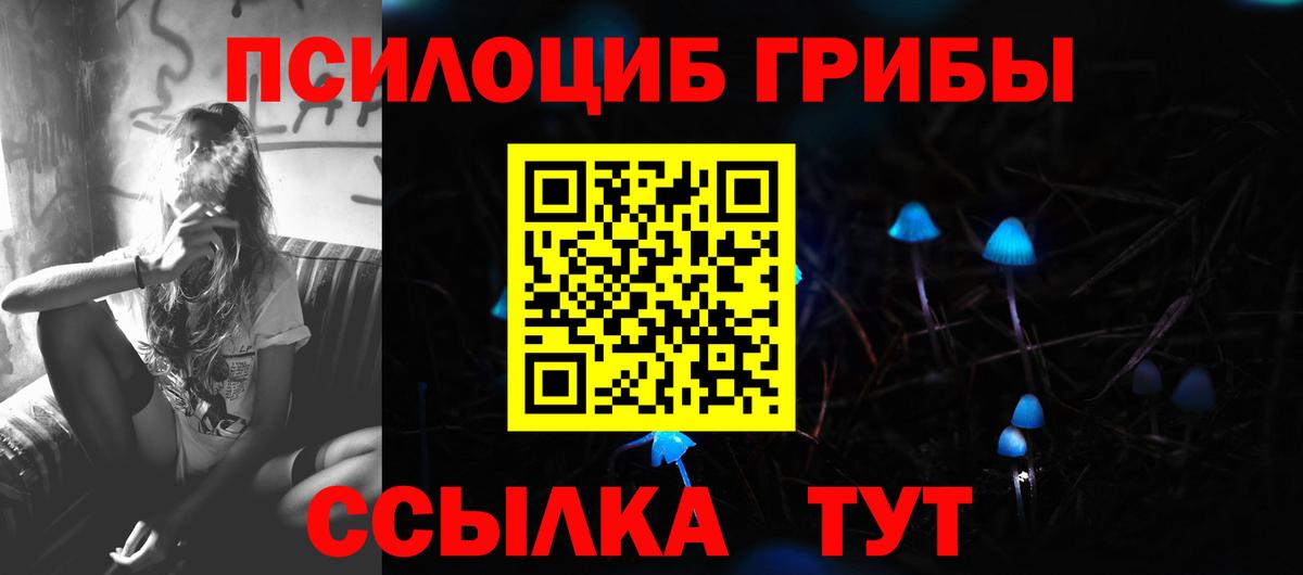 Псилоцибиновые грибы Psilocybe Мирный