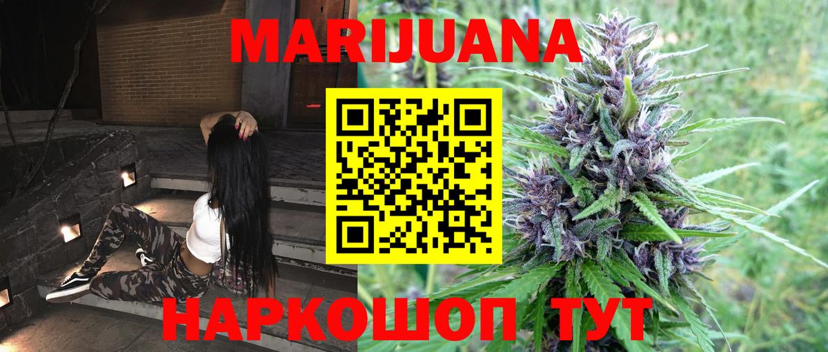 Конопля гибрид Мирный